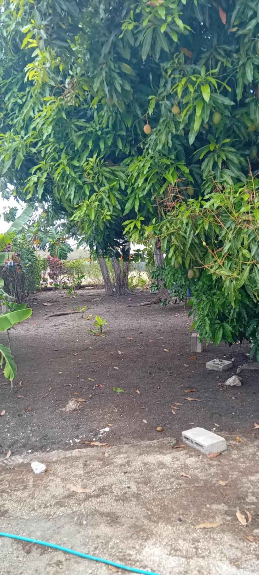Chandler Homestay Сент-Филип Экстерьер фото